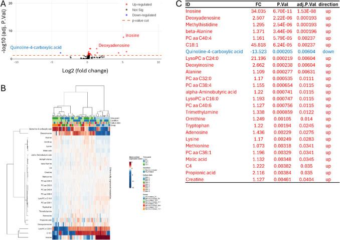 https://cdn.ncbi.nlm.nih.gov/pmc/blobs/78ef/12204887/087b0e85be04/11306_2025_2286_Fig5_HTML.jpg