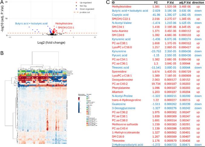 https://cdn.ncbi.nlm.nih.gov/pmc/blobs/78ef/12204887/621f973c46d0/11306_2025_2286_Fig3_HTML.jpg