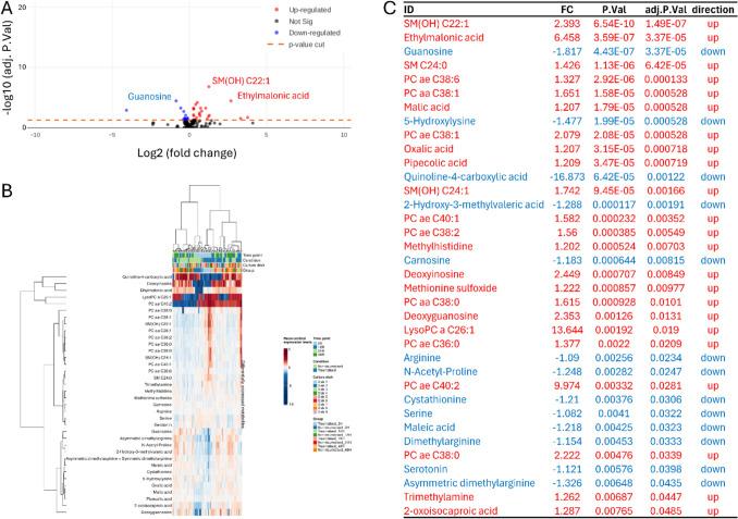 https://cdn.ncbi.nlm.nih.gov/pmc/blobs/78ef/12204887/ab4b54e06159/11306_2025_2286_Fig2_HTML.jpg
