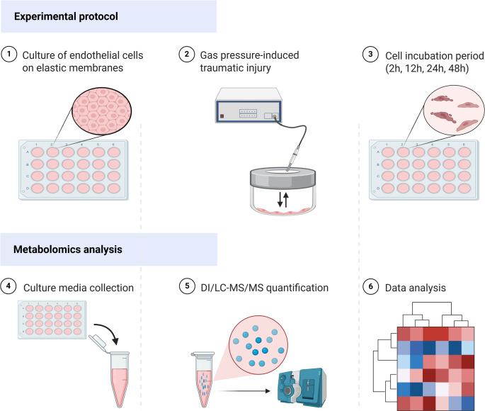 https://cdn.ncbi.nlm.nih.gov/pmc/blobs/78ef/12204887/d11cea590c68/11306_2025_2286_Fig1_HTML.jpg