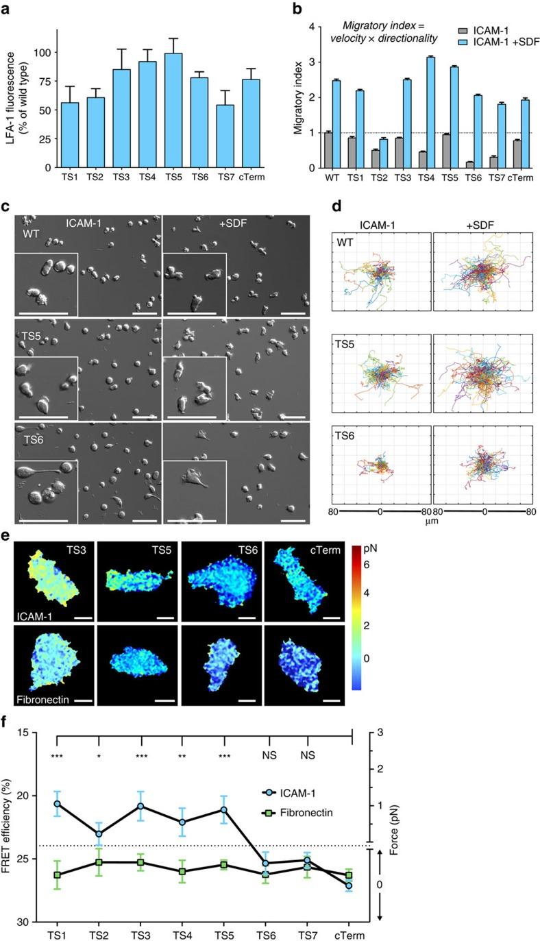 https://cdn.ncbi.nlm.nih.gov/pmc/blobs/78ef/5062559/43677303ee19/ncomms13119-f2.jpg