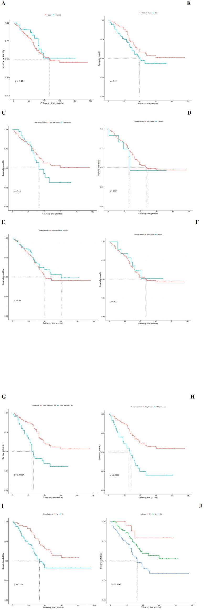 https://cdn.ncbi.nlm.nih.gov/pmc/blobs/78f1/11830596/f911c1143445/fonc-15-1406585-g005.jpg