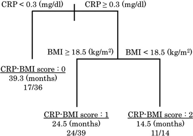 https://cdn.ncbi.nlm.nih.gov/pmc/blobs/78f2/5786283/31118fcd6cf1/rrx060f01.jpg