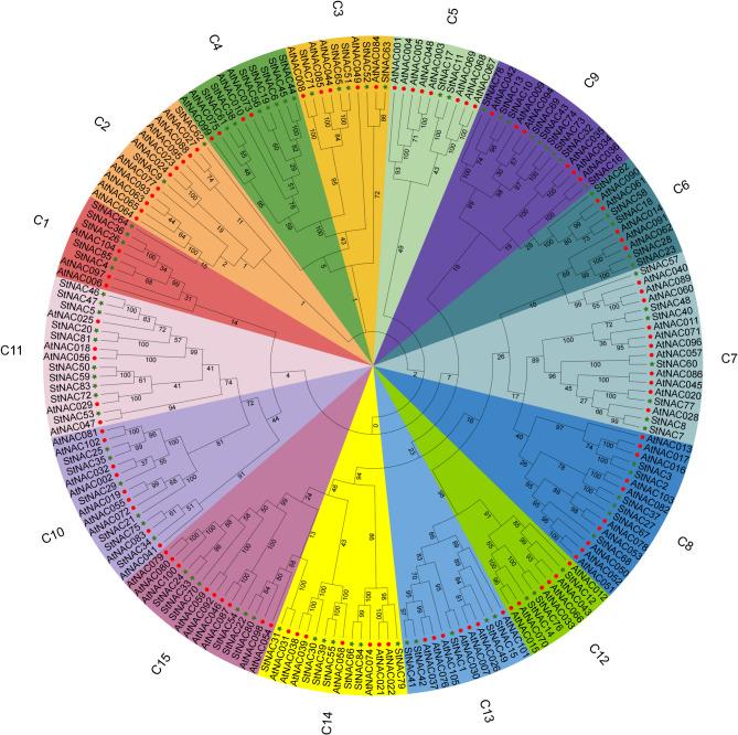 https://cdn.ncbi.nlm.nih.gov/pmc/blobs/78f4/12023634/c88fb46cbde9/12870_2025_6564_Fig2_HTML.jpg