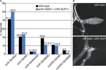 https://cdn.ncbi.nlm.nih.gov/pmc/blobs/78f9/2064332/8f290ce5bfa4/jcb1740773f04.jpg