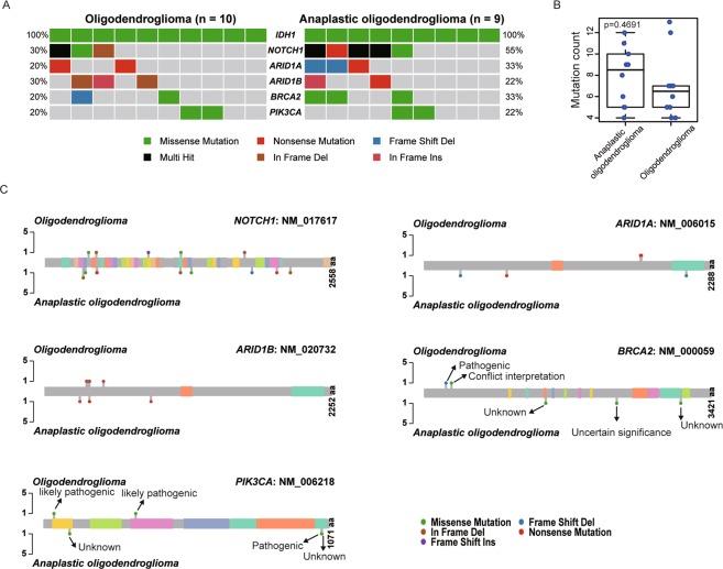 https://cdn.ncbi.nlm.nih.gov/pmc/blobs/78f9/6403216/0c119a234de6/41598_2019_40364_Fig2_HTML.jpg
