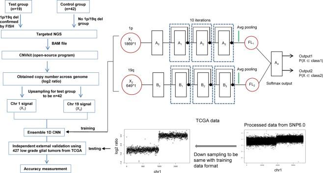 https://cdn.ncbi.nlm.nih.gov/pmc/blobs/78f9/6403216/fcba06c3bb27/41598_2019_40364_Fig3_HTML.jpg
