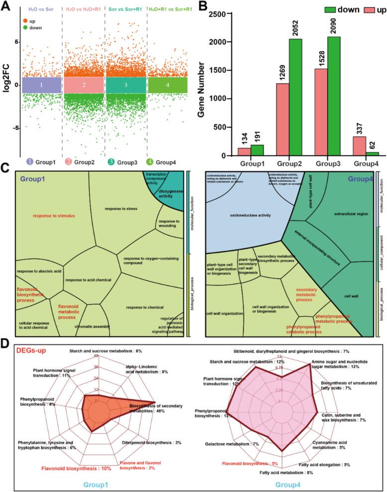 https://cdn.ncbi.nlm.nih.gov/pmc/blobs/78fa/11783756/dfef227e346c/43897_2024_125_Fig2_HTML.jpg