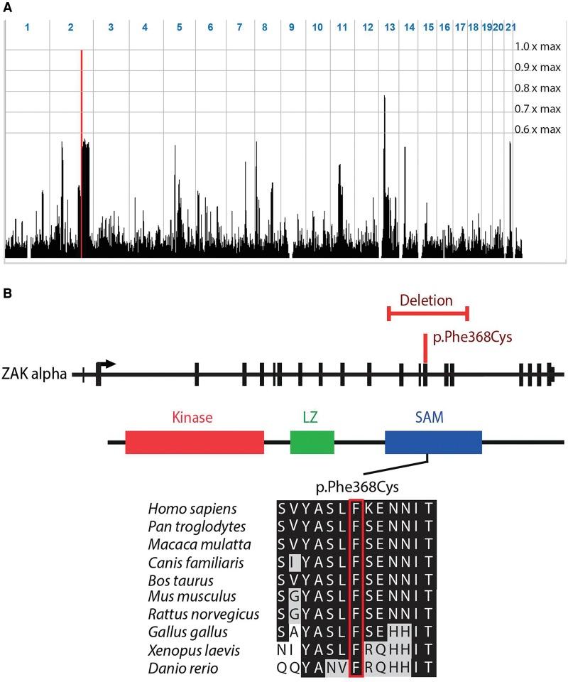 https://cdn.ncbi.nlm.nih.gov/pmc/blobs/78fa/4728371/26aa9d0c4c63/183f02.jpg