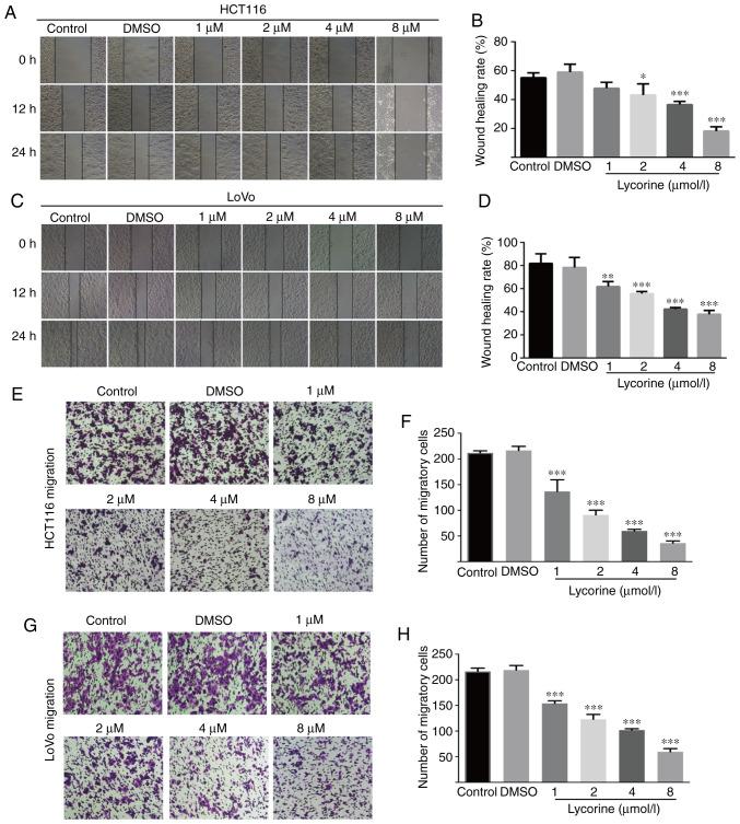https://cdn.ncbi.nlm.nih.gov/pmc/blobs/78fb/7879421/3576cd904e54/or-45-04-7970-g01.jpg