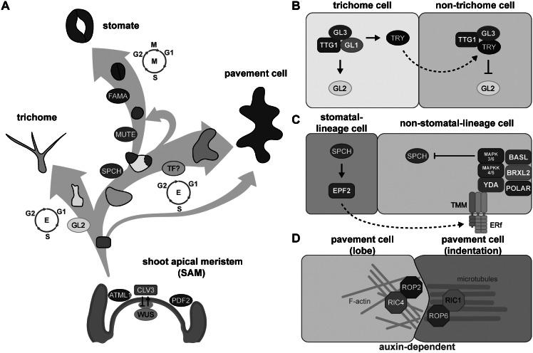 https://cdn.ncbi.nlm.nih.gov/pmc/blobs/78fe/10097589/a2cf81fa9bce/S263288282200025X_fig1.jpg