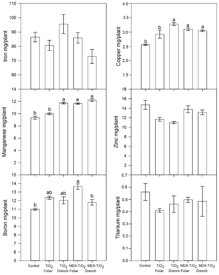 https://cdn.ncbi.nlm.nih.gov/pmc/blobs/7900/10489957/32fcff0e484c/plants-12-03099-g007.jpg