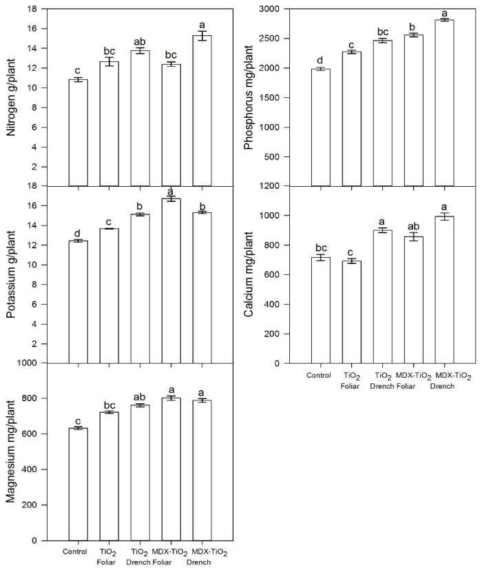 https://cdn.ncbi.nlm.nih.gov/pmc/blobs/7900/10489957/a9bc0a3b7ad5/plants-12-03099-g006.jpg