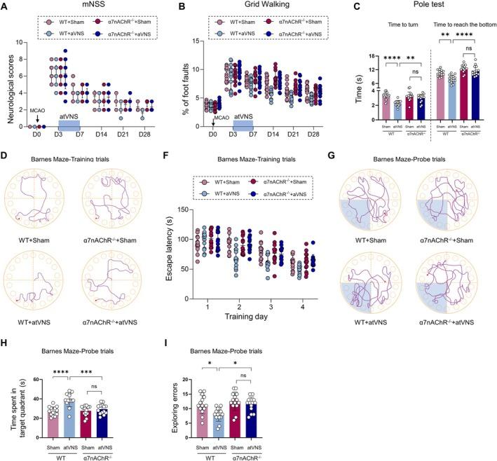 https://cdn.ncbi.nlm.nih.gov/pmc/blobs/7900/12082278/a0f68c26580a/CNS-31-e70439-g008.jpg