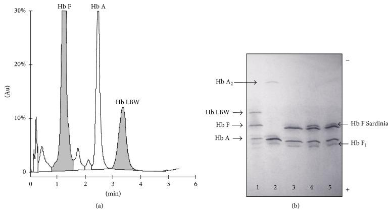 https://cdn.ncbi.nlm.nih.gov/pmc/blobs/7901/5434260/ac473ee01aed/BMRI2017-1261972.001.jpg