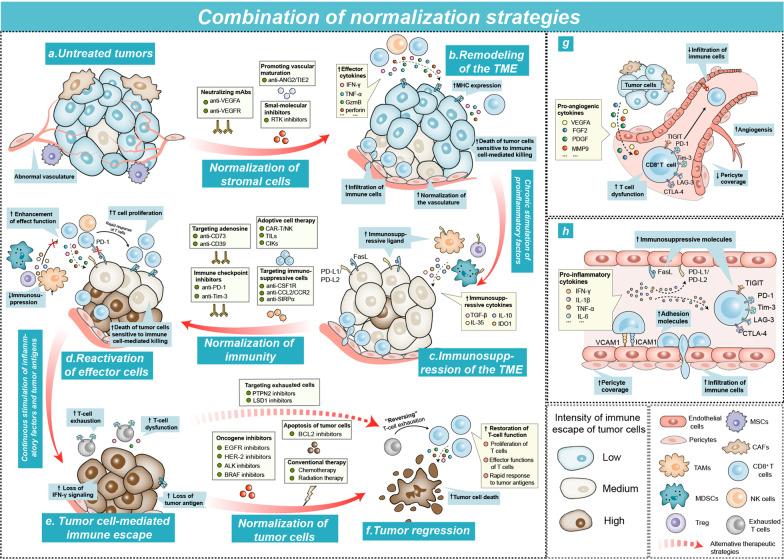 https://cdn.ncbi.nlm.nih.gov/pmc/blobs/7902/10103470/17b37e7fe1bd/13045_2023_1430_Fig4_HTML.jpg