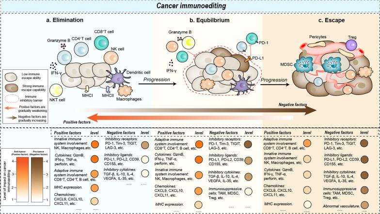 https://cdn.ncbi.nlm.nih.gov/pmc/blobs/7902/10103470/9afe0700d706/13045_2023_1430_Fig1_HTML.jpg