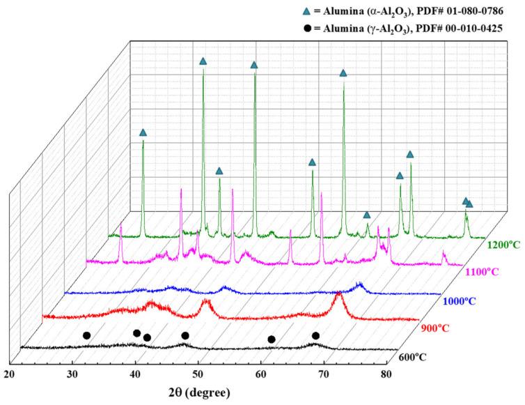 https://cdn.ncbi.nlm.nih.gov/pmc/blobs/7906/8955257/47bd3ce9bae2/membranes-12-00313-g004.jpg