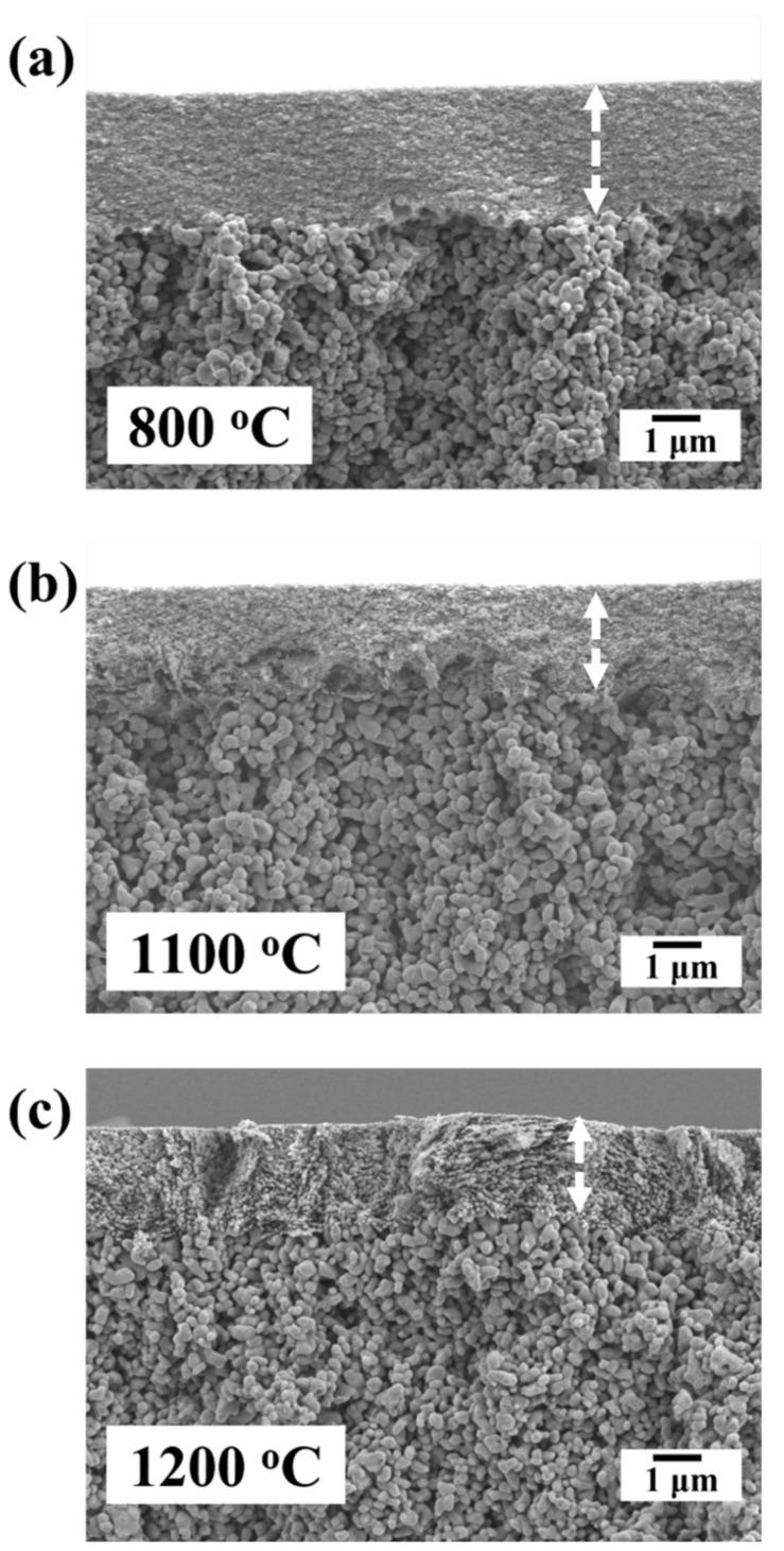 https://cdn.ncbi.nlm.nih.gov/pmc/blobs/7906/8955257/6eaf674af2e7/membranes-12-00313-g006.jpg