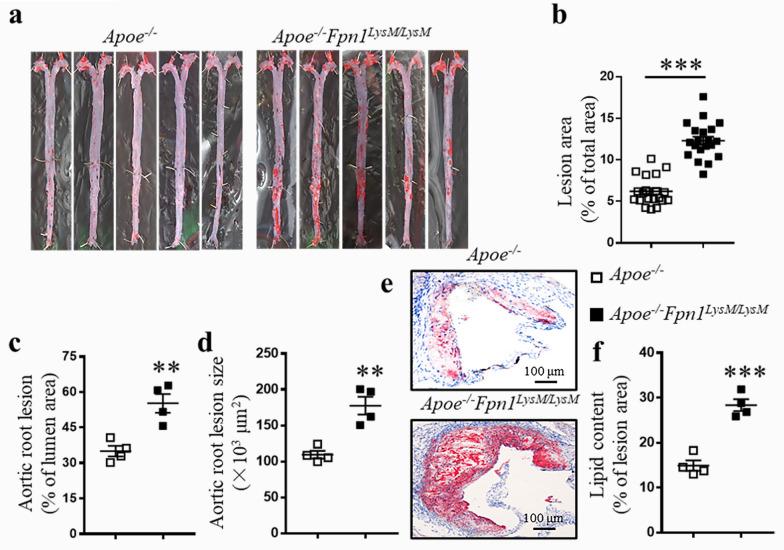 https://cdn.ncbi.nlm.nih.gov/pmc/blobs/7909/7691057/27662060c833/13578_2020_500_Fig1_HTML.jpg