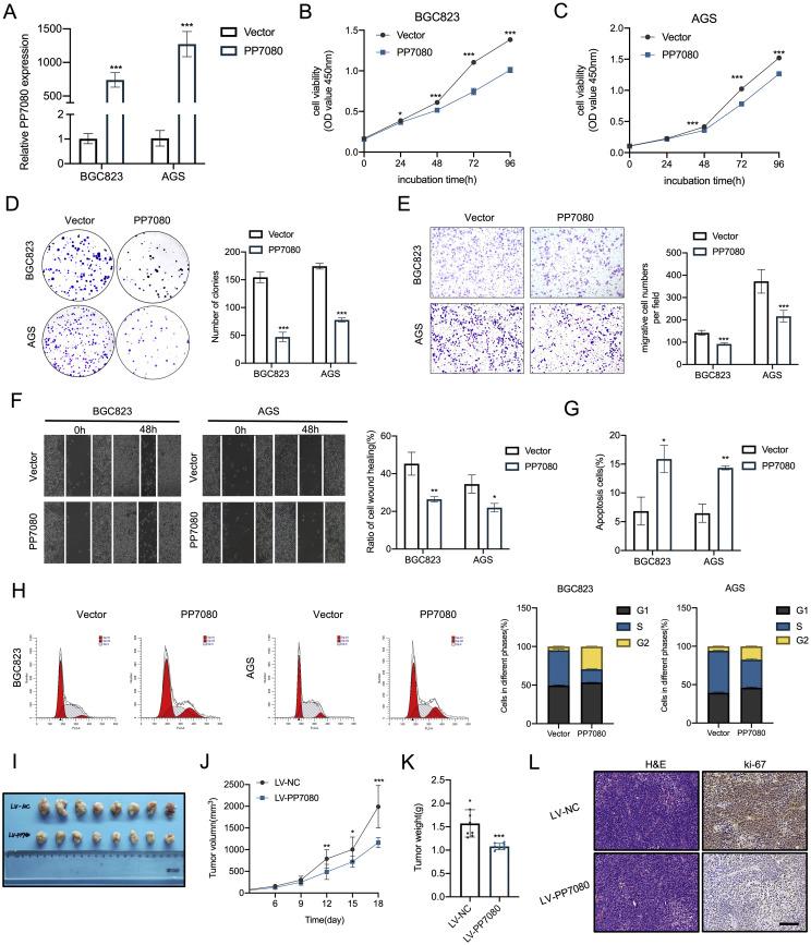https://cdn.ncbi.nlm.nih.gov/pmc/blobs/790a/12206047/8acde853f544/gr3.jpg