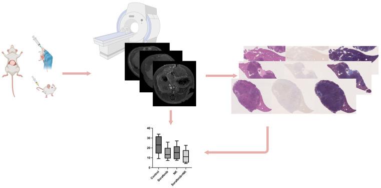 https://cdn.ncbi.nlm.nih.gov/pmc/blobs/790c/11853247/321425664f8d/cancers-17-00699-g001.jpg