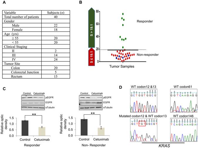 https://cdn.ncbi.nlm.nih.gov/pmc/blobs/790c/5431418/21c7b209d4cd/41598_2017_1566_Fig1_HTML.jpg