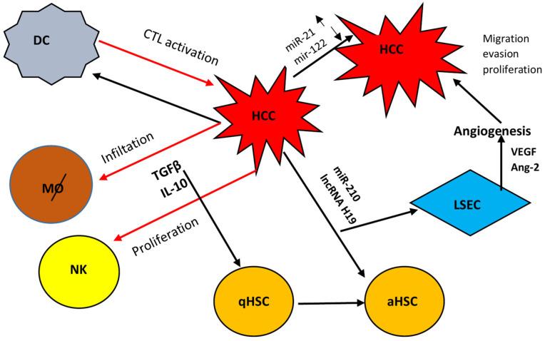 https://cdn.ncbi.nlm.nih.gov/pmc/blobs/790d/11598962/8d84eb437530/viruses-16-01785-g002.jpg