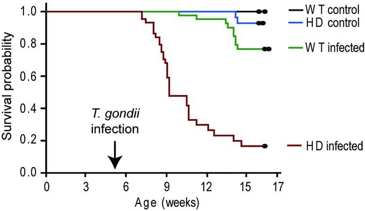 https://cdn.ncbi.nlm.nih.gov/pmc/blobs/790f/5017698/9da2f6c7573a/pone.0162404.g003.jpg