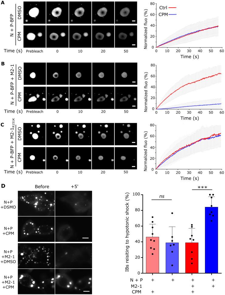 https://cdn.ncbi.nlm.nih.gov/pmc/blobs/7910/10531356/1f1c851e4991/ijms-24-13862-g001.jpg