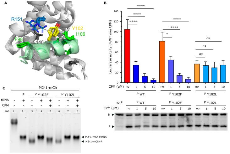 https://cdn.ncbi.nlm.nih.gov/pmc/blobs/7910/10531356/a70585c79475/ijms-24-13862-g005.jpg