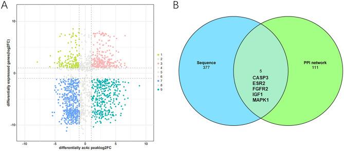 https://cdn.ncbi.nlm.nih.gov/pmc/blobs/7910/10861577/35cc836c4b92/41598_2024_54197_Fig6_HTML.jpg