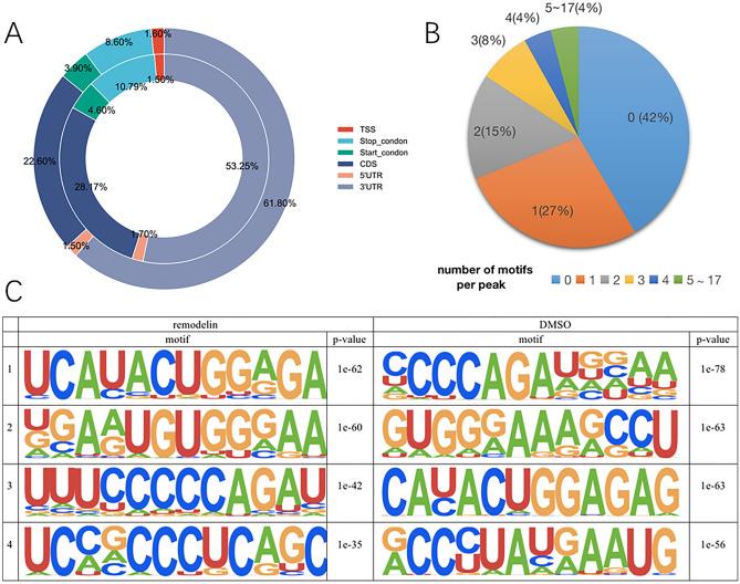 https://cdn.ncbi.nlm.nih.gov/pmc/blobs/7910/10861577/747a43841cd3/41598_2024_54197_Fig4_HTML.jpg