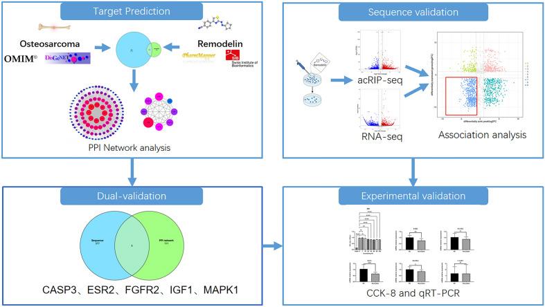 https://cdn.ncbi.nlm.nih.gov/pmc/blobs/7910/10861577/94074a3083a1/41598_2024_54197_Fig1_HTML.jpg
