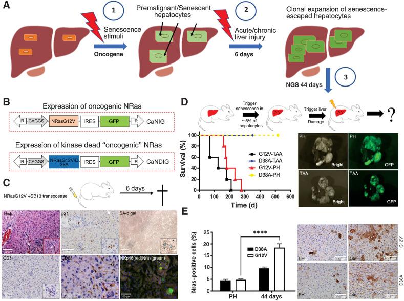 https://cdn.ncbi.nlm.nih.gov/pmc/blobs/7910/9896023/f8a3a2c80d0d/428fig1.jpg