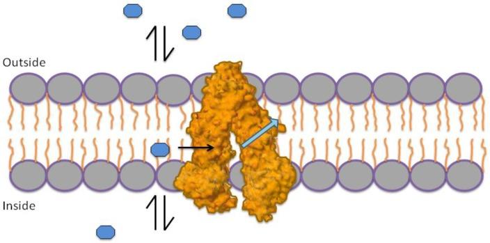 https://cdn.ncbi.nlm.nih.gov/pmc/blobs/7911/3917285/5b31a1fbe48b/marinedrugs-12-00525-g001.jpg
