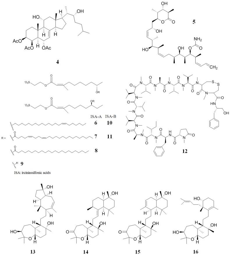 https://cdn.ncbi.nlm.nih.gov/pmc/blobs/7911/3917285/6eed5202a985/marinedrugs-12-00525-g004.jpg