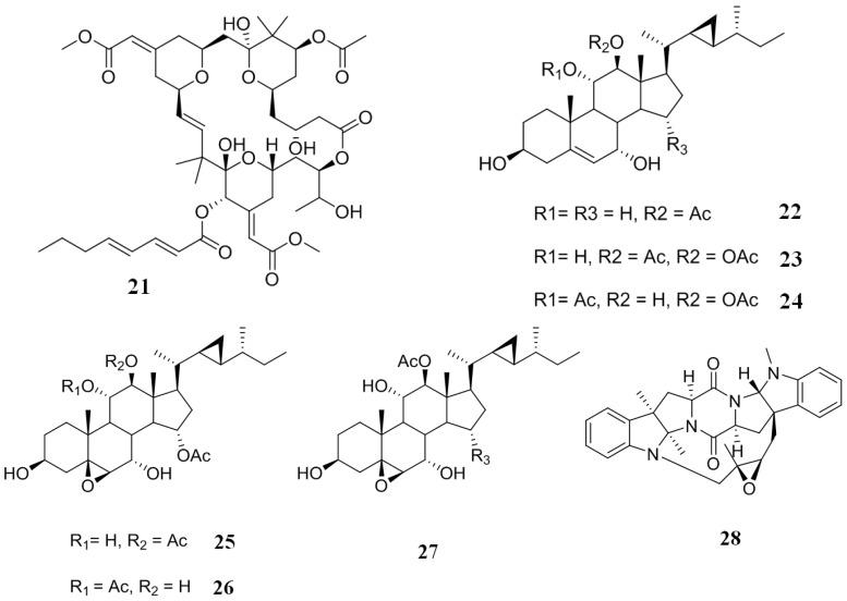 https://cdn.ncbi.nlm.nih.gov/pmc/blobs/7911/3917285/ee7a4120aead/marinedrugs-12-00525-g006.jpg