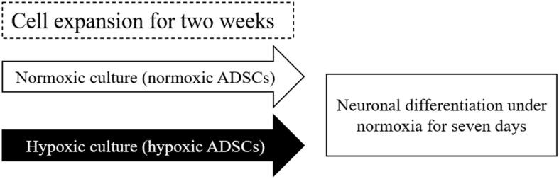 https://cdn.ncbi.nlm.nih.gov/pmc/blobs/7911/8120285/7c5c7aa00227/fcell-09-658099-g001.jpg