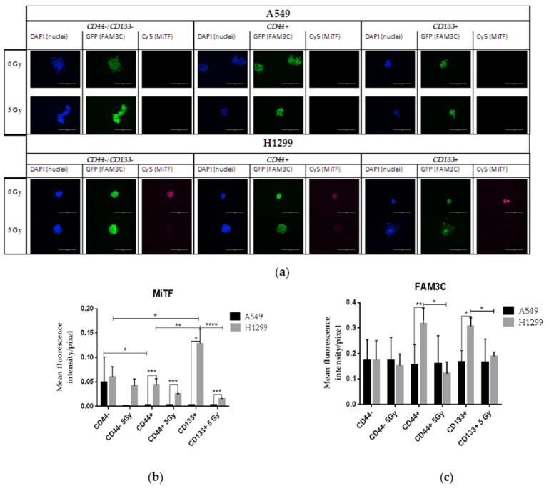 https://cdn.ncbi.nlm.nih.gov/pmc/blobs/7911/9101266/6a94705c9bdf/ijms-23-04922-g010.jpg