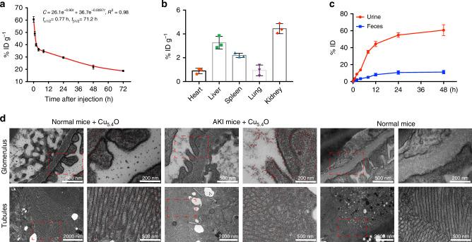 https://cdn.ncbi.nlm.nih.gov/pmc/blobs/7912/7270130/7a95c4f12569/41467_2020_16544_Fig6_HTML.jpg