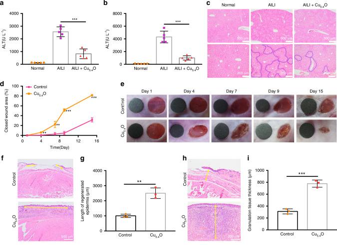 https://cdn.ncbi.nlm.nih.gov/pmc/blobs/7912/7270130/b2102b38e88e/41467_2020_16544_Fig8_HTML.jpg