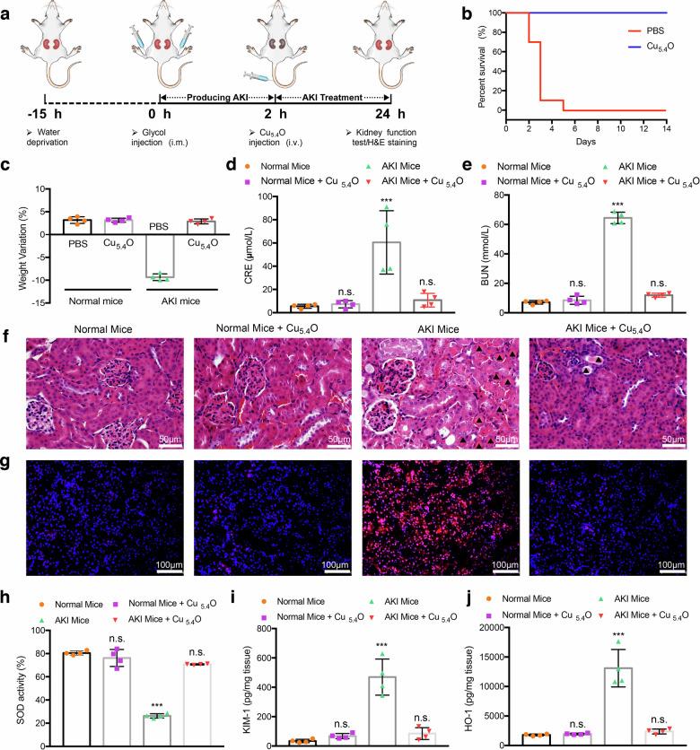 https://cdn.ncbi.nlm.nih.gov/pmc/blobs/7912/7270130/b329ac08fb0e/41467_2020_16544_Fig7_HTML.jpg