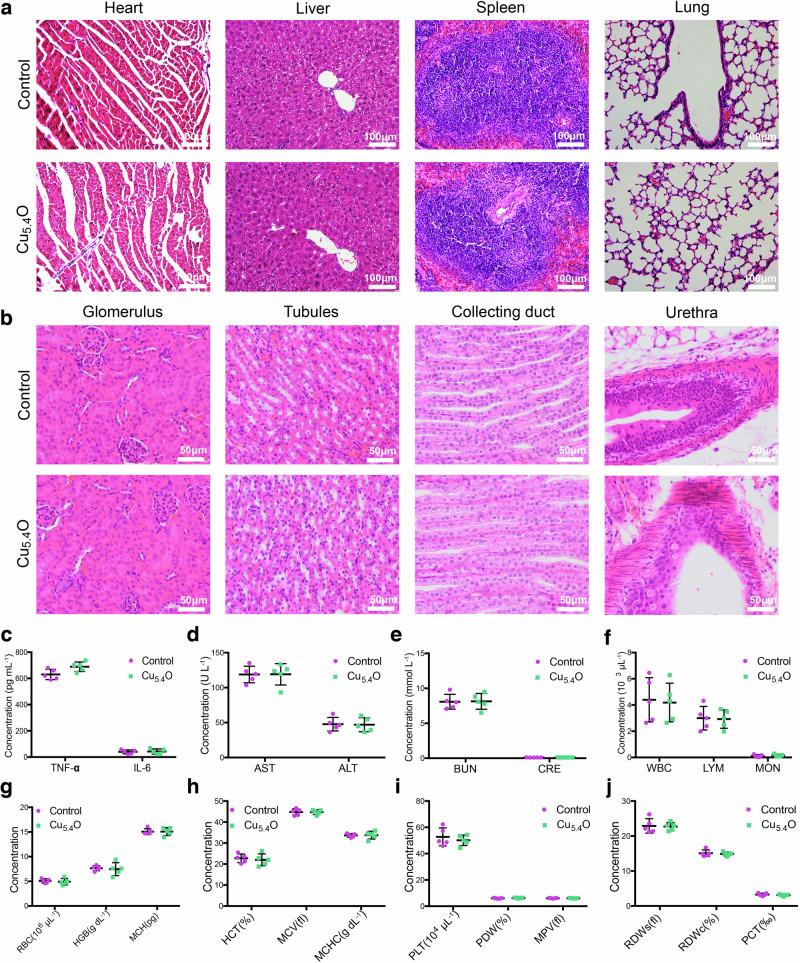 https://cdn.ncbi.nlm.nih.gov/pmc/blobs/7912/7270130/c930b8880595/41467_2020_16544_Fig5_HTML.jpg