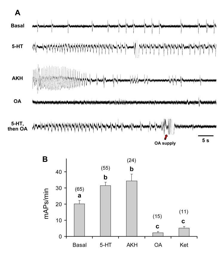 https://cdn.ncbi.nlm.nih.gov/pmc/blobs/7913/5363830/14dabea185f1/pone.0174172.g006.jpg