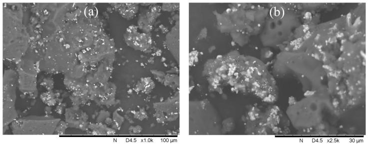 https://cdn.ncbi.nlm.nih.gov/pmc/blobs/7915/10346363/461b03d3d967/polymers-15-02894-g007a.jpg