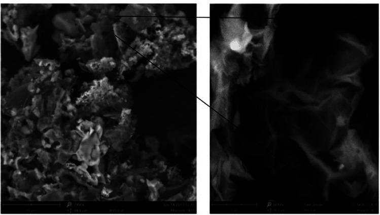 https://cdn.ncbi.nlm.nih.gov/pmc/blobs/7916/9090162/557de345c925/c8ra06364h-f5.jpg