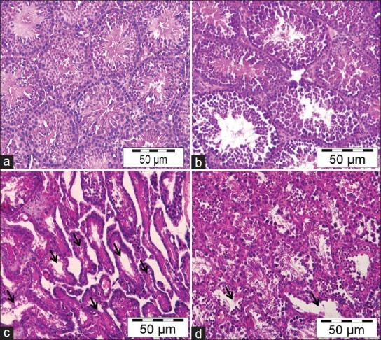 https://cdn.ncbi.nlm.nih.gov/pmc/blobs/7917/3702131/dcfdbfa87b55/TI-20-68-g006.jpg