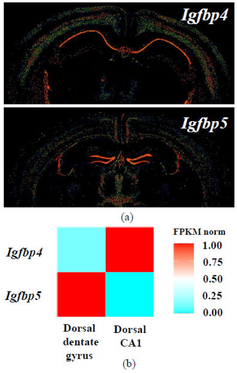 https://cdn.ncbi.nlm.nih.gov/pmc/blobs/791a/7918606/b73e339f32a5/ijms-22-01849-g007.jpg