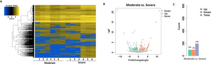 https://cdn.ncbi.nlm.nih.gov/pmc/blobs/791c/12350355/84bc5565b0f1/fimmu-16-1608509-g005.jpg